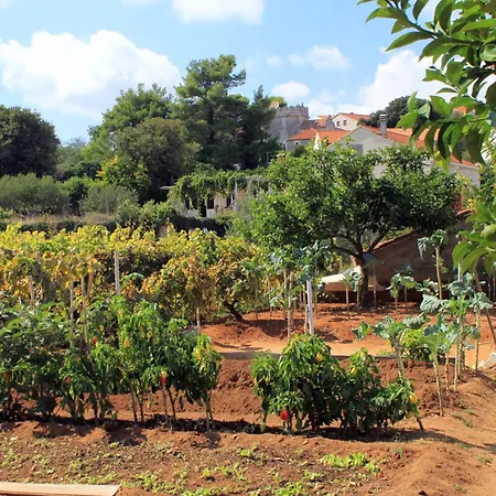 By The Sea Lumbarda, Korcula - 4378 Apartamento