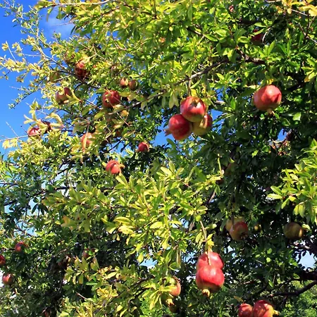By The Sea Lumbarda, Korcula - 4378 Apartamento Lumbarda