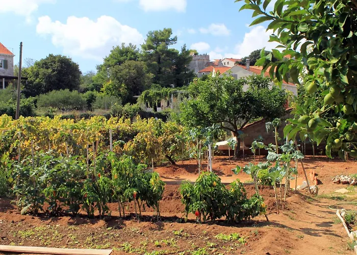 By The Sea Lumbarda, Korcula - 4378 Appartamento