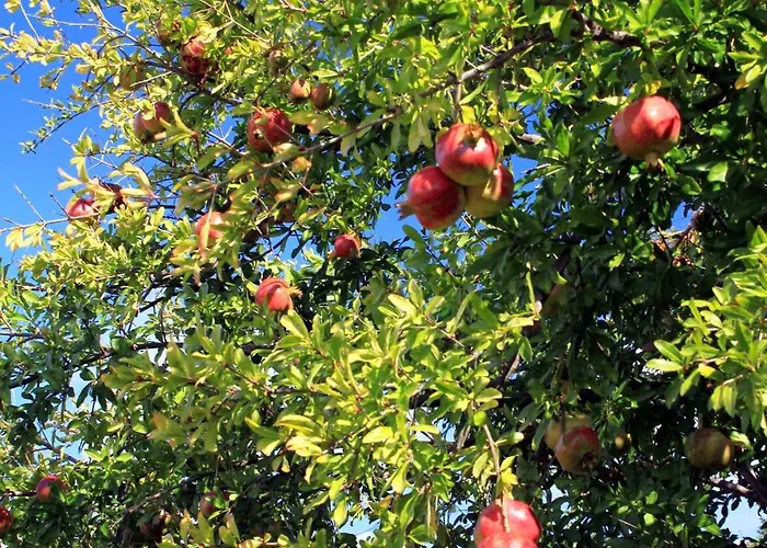By The Sea Lumbarda, Korcula - 4378 Daire Lumbarda
